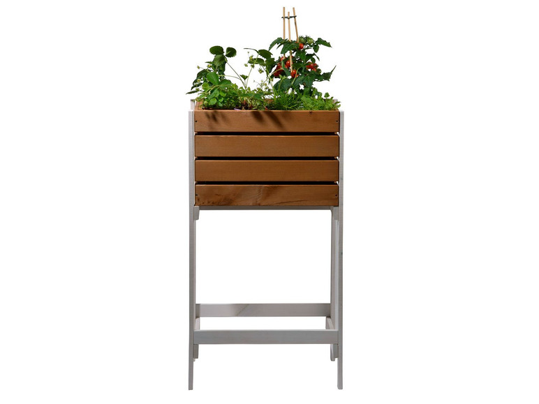 Een houten plantenbak met tomatenplanten op een wit metalen onderstel.