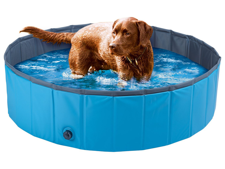 Ga naar volledige schermweergave: Zoofari Hondenzwembad - afbeelding 5