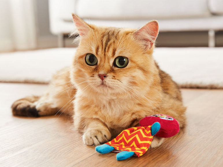 Ga naar volledige schermweergave: zoofari® Kattenspeelgoed met kattenkruid - afbeelding 3