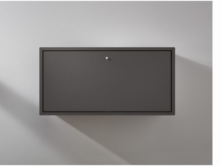 Ga naar volledige schermweergave: LIVARNO Living® Combineer module plank met deur antraciet - afbeelding 5