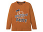 Een bruin longsleeve shirt met de tekst 'Northern Route' en een afbeelding van een vlag.