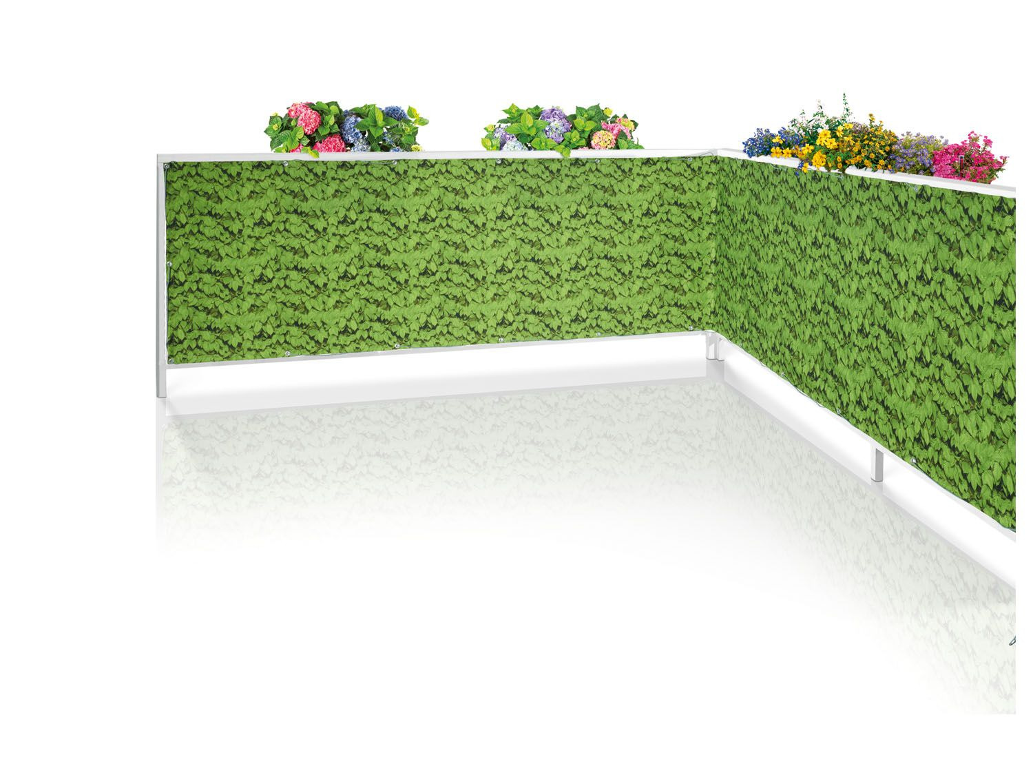 Privacyscherm kopen? LIDL