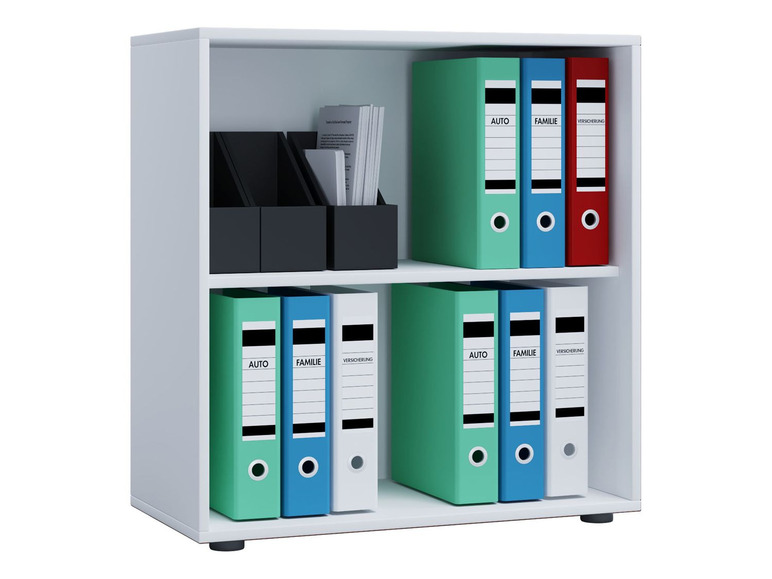 Witte boekenkast met groene, blauwe en rode ringbanden met labels 'Auto', 'Familie' en 'Verzekering'.