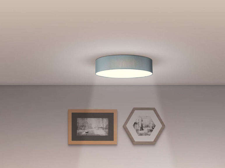 Ga naar volledige schermweergave: LIVARNO LUX LED-plafondlamp - afbeelding 6