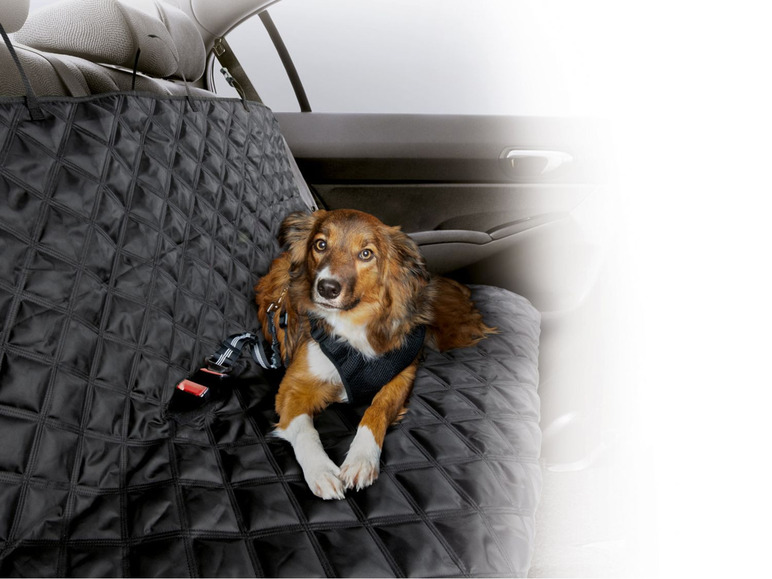 Ga naar volledige schermweergave: zoofari® Outdoor- of autodeken voor honden - afbeelding 3