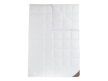 Lidl-shop HÄUSSLING Royal 4 seizoenen donzen cassette dekbed licht tot extra warm aanbieding