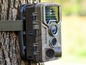 Een camouflage trail camera bevestigd aan een boom.