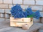 Een houten krat met lavendelbloemen en een rol touw.