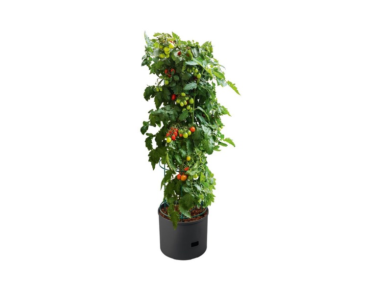 Ga naar volledige schermweergave: PARKSIDE Tomaten-plantenbak - afbeelding 2