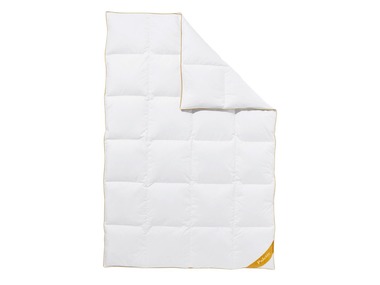 Lidl-shop Balette deLuxe carré ganzendonzen dekbed Gold-Edition warm (155 x 220 cm) aanbieding