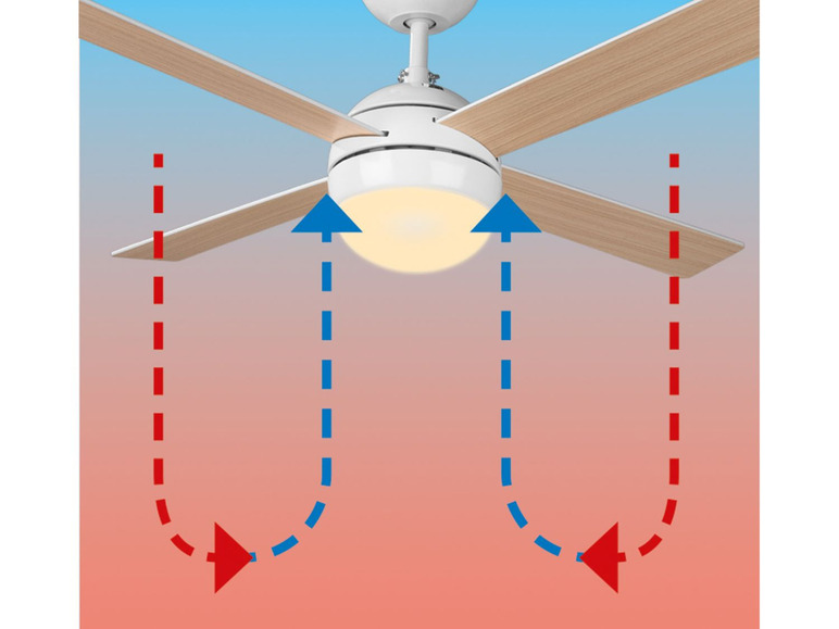 Ga naar volledige schermweergave: LIVARNO LUX Plafondventilator, met ledlamp - afbeelding 9