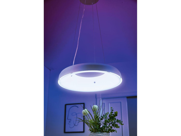 Ga naar volledige schermweergave: LIVARNO LUX® LED-plafondamp - Zigbee Smart Home - afbeelding 5