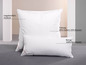 Twee witte kussens van het merk 