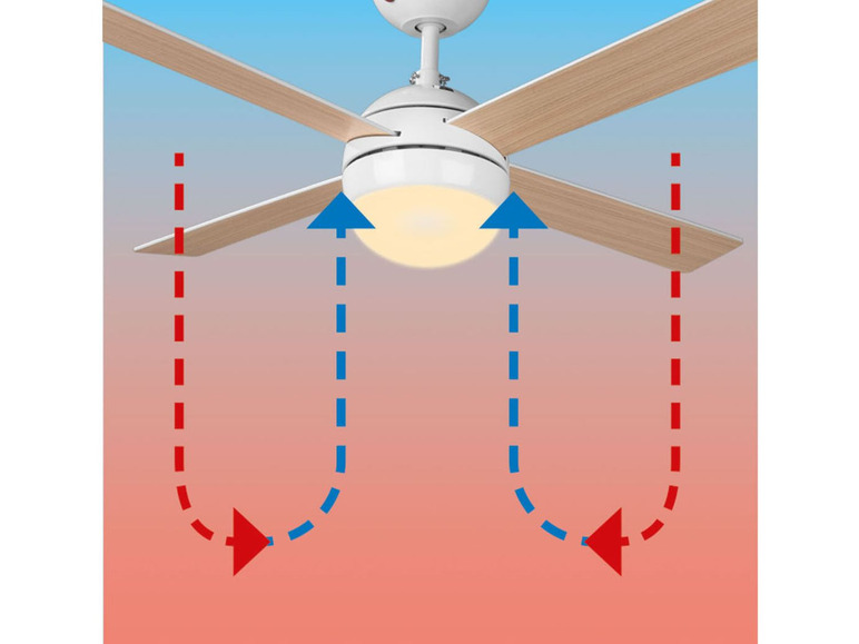 Ga naar volledige schermweergave: LIVARNO home Ventilator met LED-plafondlamp - afbeelding 5