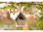 Een houten vogelhuisje hangt aan een bloeiende tak.