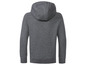Grijze hoodie met capuchon, van achteren bekeken.
