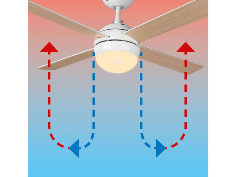 Ga naar volledige schermweergave: LIVARNO home Ventilator met LED-plafondlamp - afbeelding 4