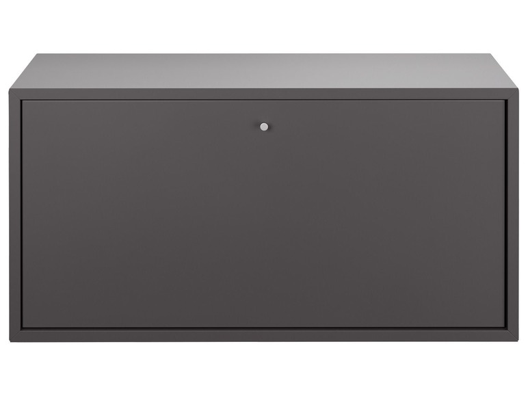 Ga naar volledige schermweergave: LIVARNO Living® Combineer module plank met deur antraciet - afbeelding 2