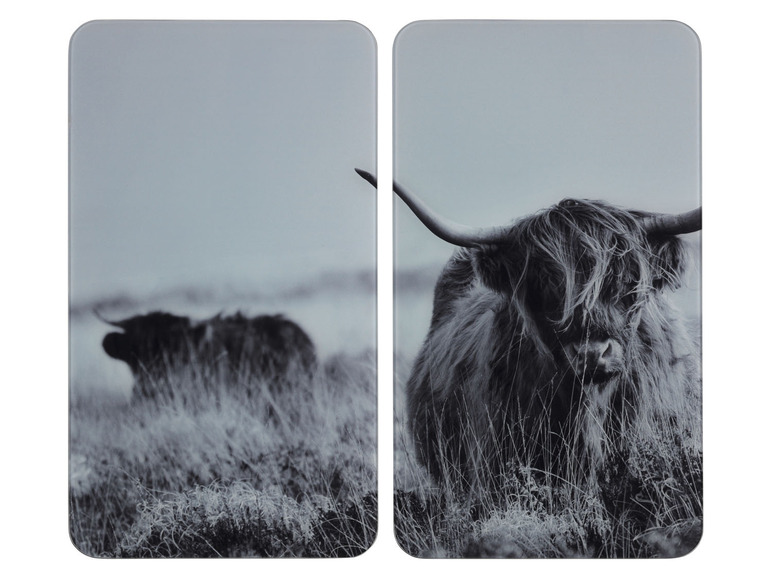 Twee zwart-wit foto's van Schotse Hooglanders in het gras.