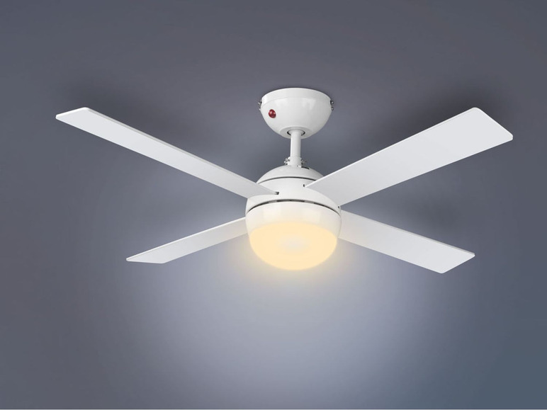 Ga naar volledige schermweergave: LIVARNO home Ventilator met LED-plafondlamp - afbeelding 6