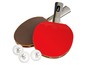 Twee Giant Dragon tafeltennisbatjes en drie Giant Dragon 40+ ballen.