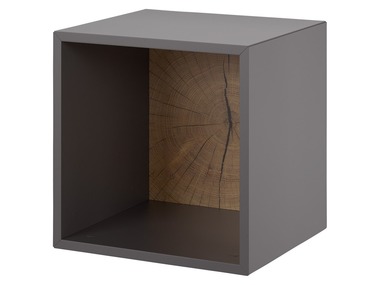 LIVARNO LIVING Hangkast 38 x 38 cm antraciet