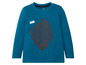 Een blauwe longsleeve met een afbeelding van een berg met een vlag.