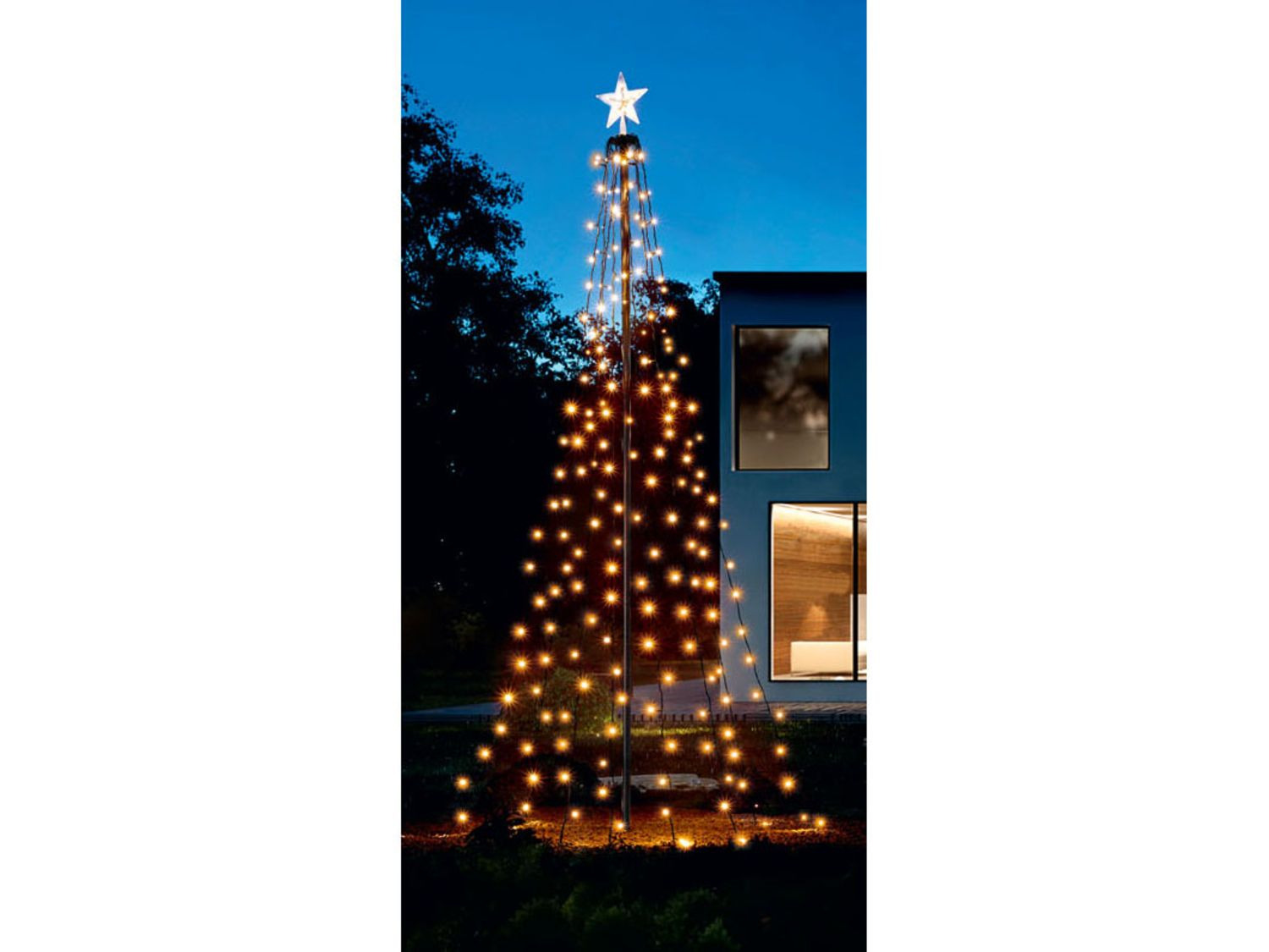 Horzel Verspilling Carrière Kerstboomverlichting kopen? | LIDL