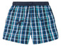 Blauw-wit-groene geruite badshorts.