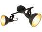 Zwarte plafondlamp met twee verstelbare spots.
