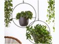 Twee hangende plantenbakken met groene planten in ronde metalen frames.