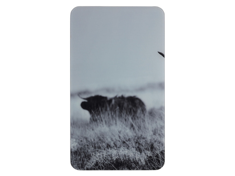 Een zwart-wit foto van een Schotse Hooglander in een veld.