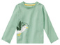 Groen longsleeve shirt met afbeelding van een zeemeeuw.