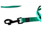 Een groene hondenriem met een zwart karabijnhaak van het merk Karlie.