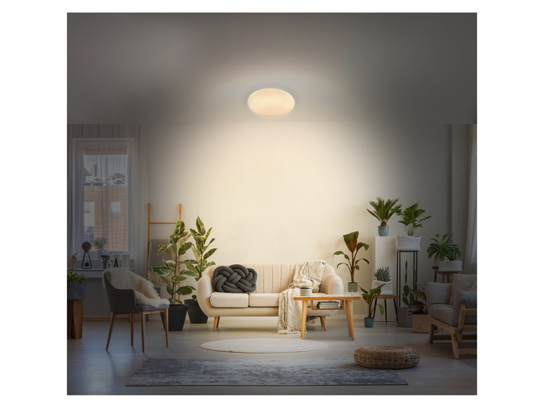 Ga naar volledige schermweergave: LIVARNO home LED plafondlamp - afbeelding 2