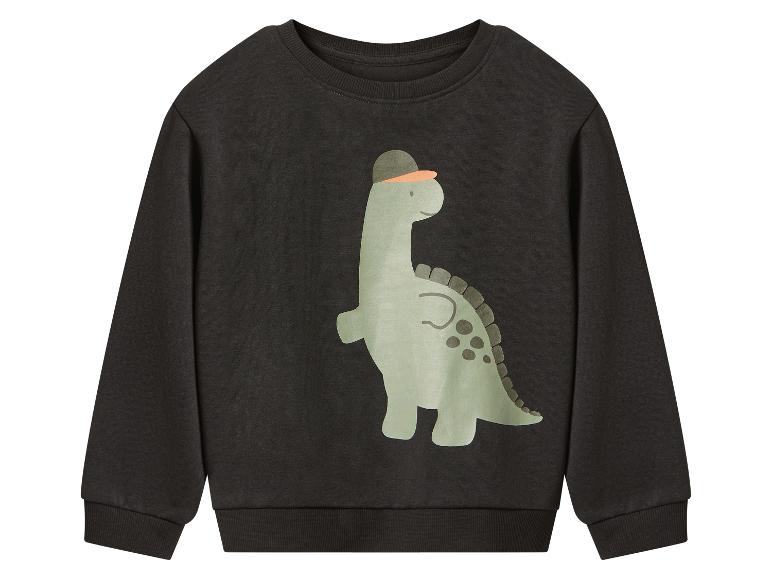 Donkergrijze sweater met een groene dinosaurusprint die een pet draagt