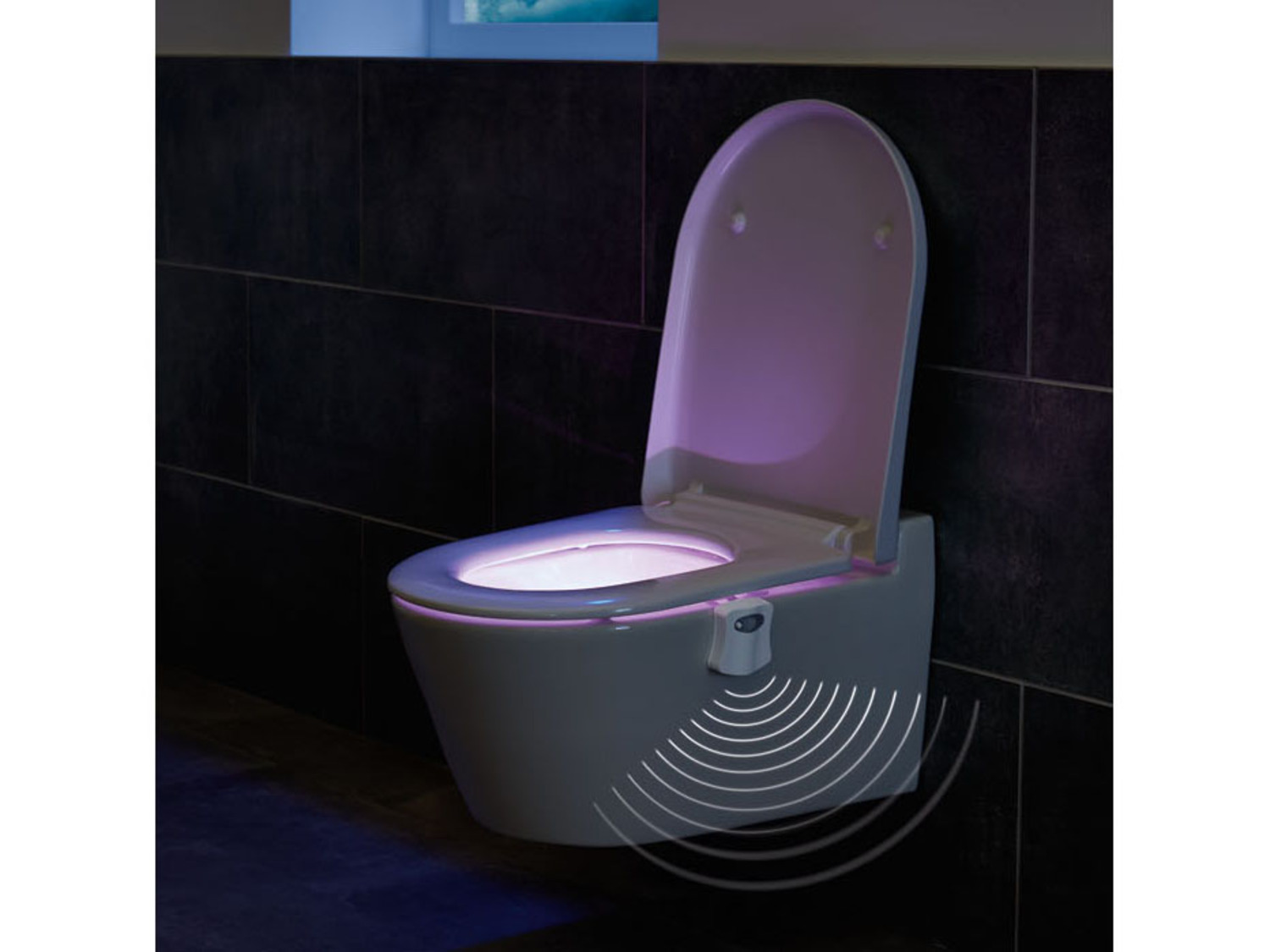 salon Over het algemeen kopen LIVARNO home LED-WC-licht online kopen | LIDL