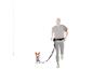 Man rent met hond aan handsfree riem, met heuptas en waterfles.