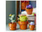 LEGO-bloemenpotten met cactus, succulent en vlinder