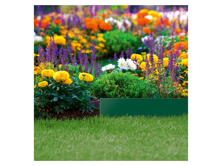 Kleurrijke bloementuin met gele, paarse en oranje bloemen, groen gras en een rand.