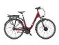 Rode elektrische fiets met zwart zadel en bagagedrager op een witte achtergrond.
