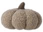 Beige pluche pompoen.