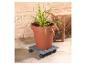 Plant in terracotta pot op een grijs, verrijdbaar onderstel.