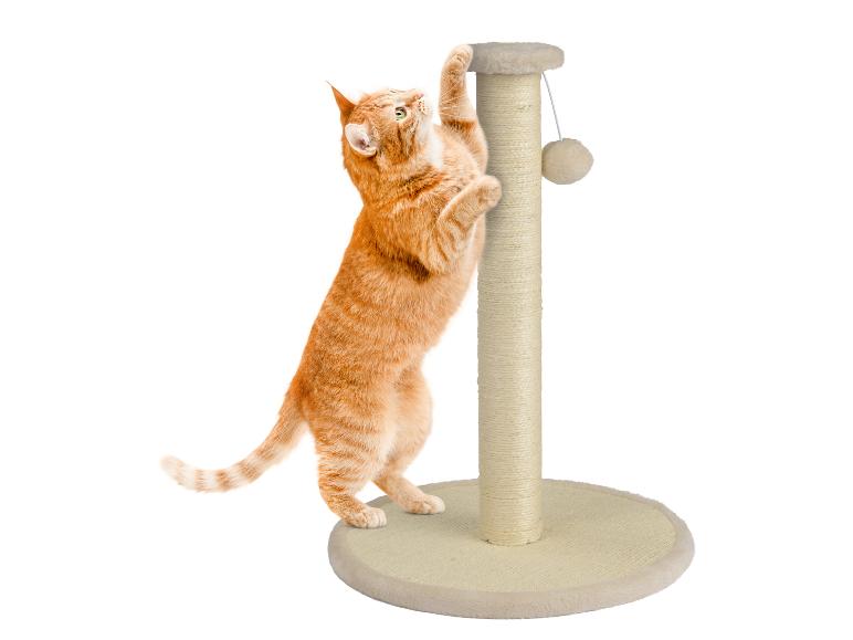 Een rode kat speelt met een krabpaal.