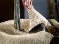 Hand bedekt plant met jute voor winterbescherming.