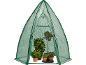 Groene kas met diverse potplanten, waaronder een sinaasappelboom en een olijfboom.