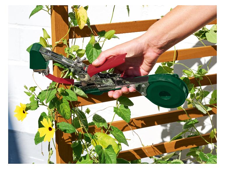 Hand gebruikt een plantenbindgereedschap om een klimplant met gele bloemen aan een houten rek te bevestigen.