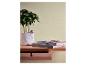Potplant en twee boeken op een houten plank met lade, tegen een lichtbeige muur.