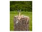 Multitool met houten handvat en diverse gereedschappen op een boomstronk.