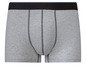 Grijze boxershorts met een zwarte tailleband.